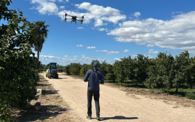Aplicar fitosanitarios con drones, una batalla entre tecnología y legislación